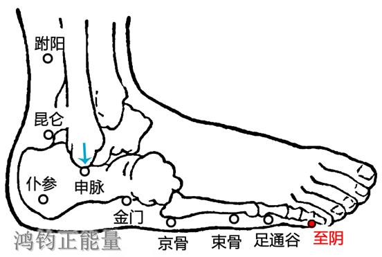 人体常识（人体常识口诀歌讲义）