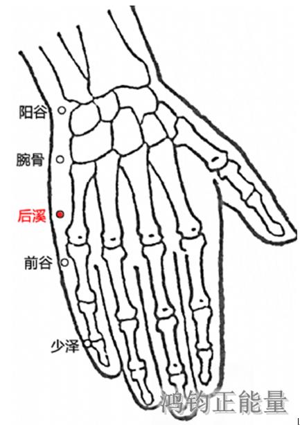 人体常识（人体常识口诀歌讲义）