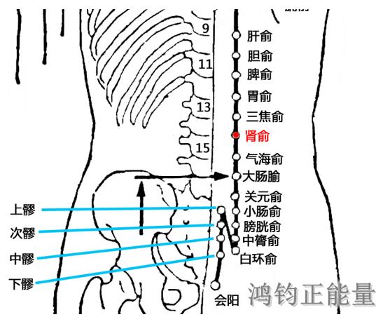 人体常识（人体常识口诀歌讲义）