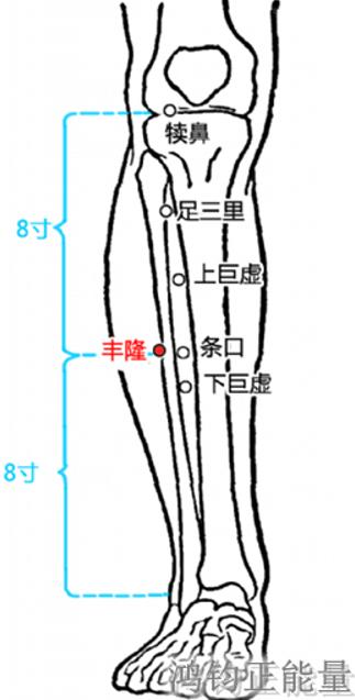 人体常识（人体常识口诀歌讲义）