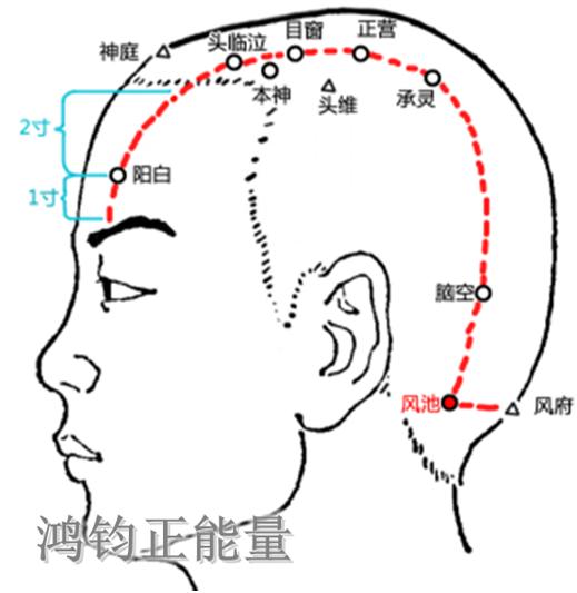 人体常识（人体常识口诀歌讲义）