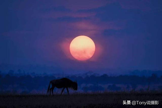 什么是长焦相机（什么长焦相机可以调摄影时的光圈）