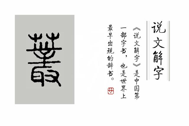 草字头加见（草字头加见读什么字）