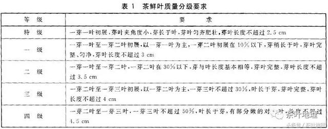 龙井茶简介（龙井茶简介50字）