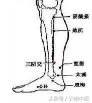 阴陵泉疼痛（阴陵泉疼痛可以刮痧吗）