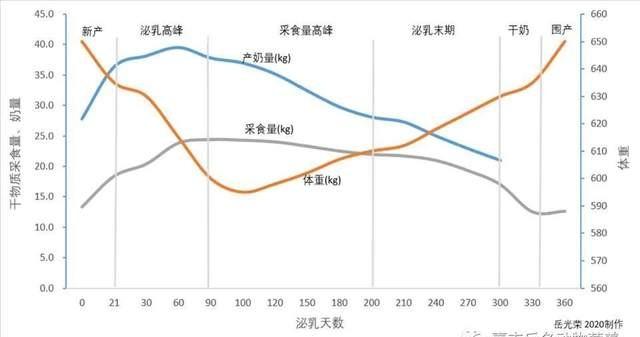 一只奶牛多少钱（一只奶牛多少钱一只）