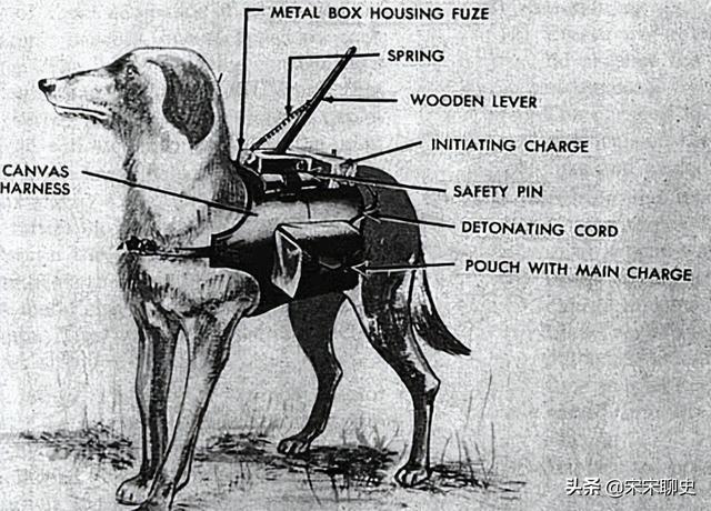 十大二战最变态的武器（二战最强的十种武器）