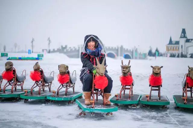 哈尔滨滑雪（哈尔滨滑雪去哪）