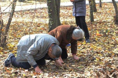 十月一上坟有什么讲究（十月一上坟有什么讲究家人上坟不能重复吗）