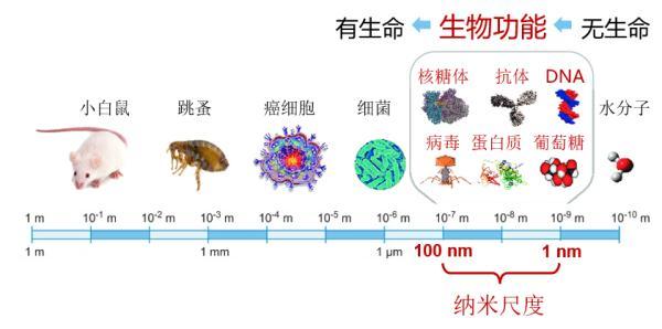 的20次方（2的20次方怎么打出来）"