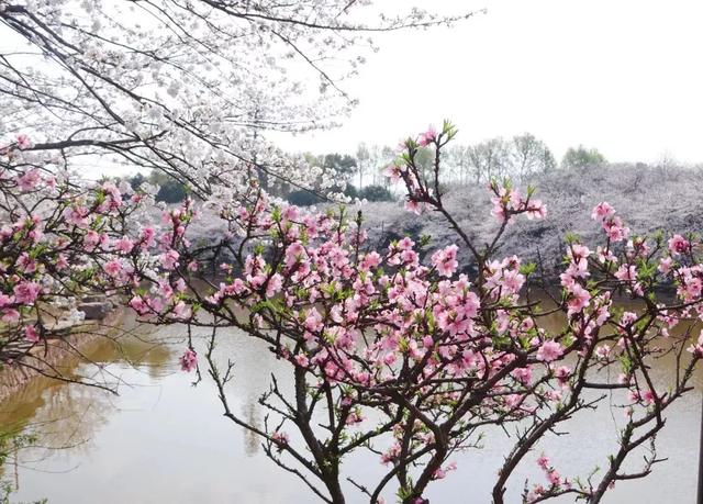 长沙有什么好玩的（长沙有什么好玩的景区）