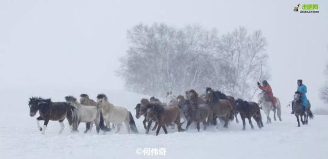 2月份适合旅游的地方有哪些(冬天适合去哪里旅游)"