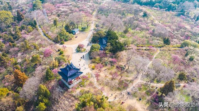 南京景点（南京景点排行榜）