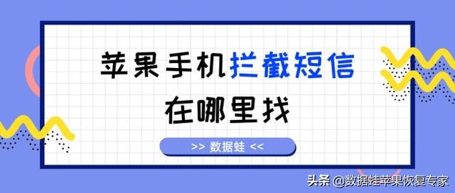 苹果屏蔽短信（苹果屏蔽短信对方能发送成功吗）