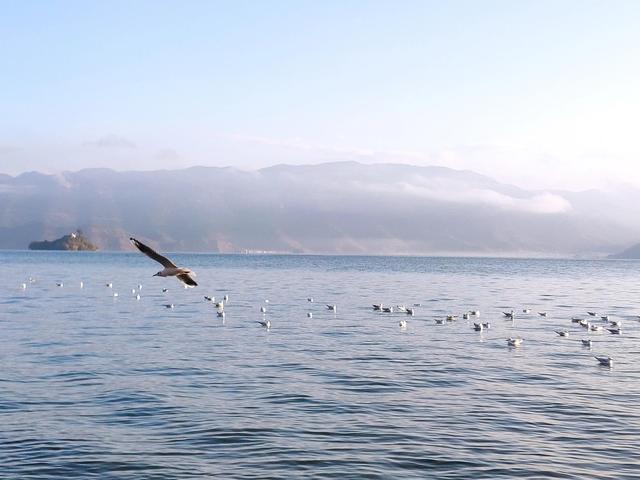 去泸沽湖（去泸沽湖的旅游路线）