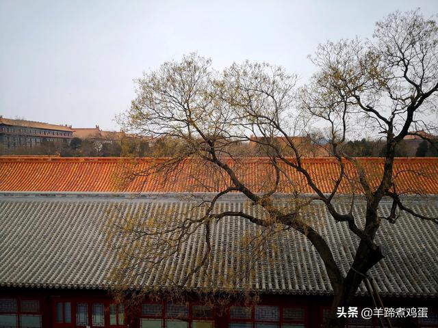 闭馆中的故宫雪景（下了雪的故宫）