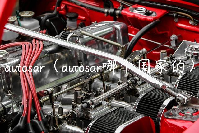 autosar（autosar哪个国家的）