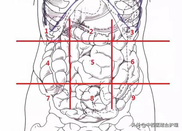 「腹痛诊断」腹部不同点的不同病，快来看一看吧