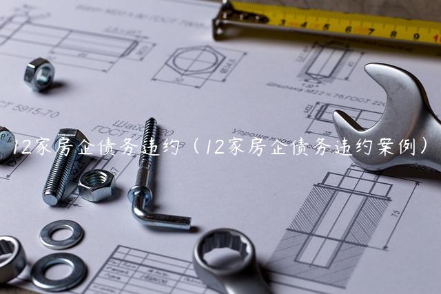 12家房企债务违约（12家房企债务违约案例）