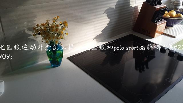 七匹狼运动外套怎么样，七匹狼和polo sport品牌哪个好