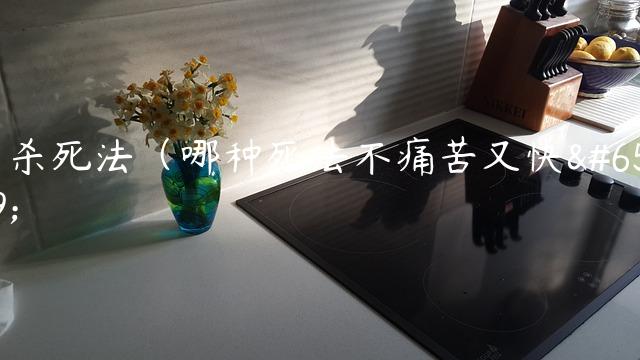 自杀死法（哪种死法不痛苦又快）