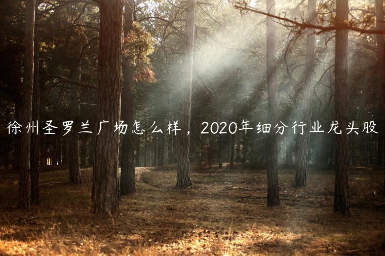 徐州圣罗兰广场怎么样，2020年细分行业龙头股