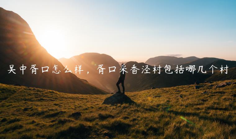 吴中胥口怎么样，胥口采香泾村包括哪几个村