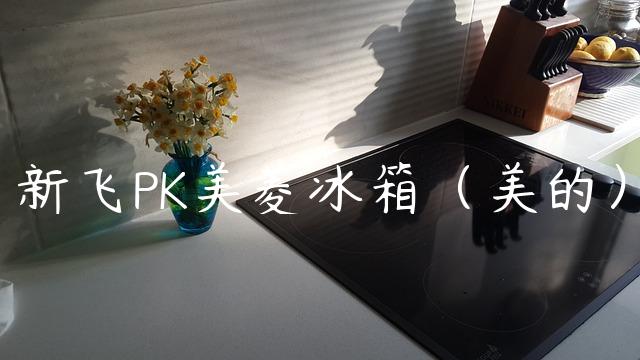 新飞PK美菱冰箱（美的）