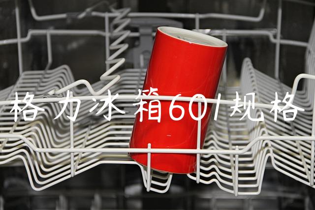 格力冰箱601规格