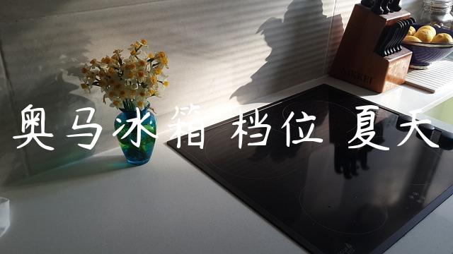 奥马冰箱 档位 夏天