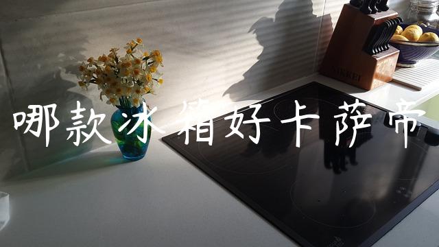 哪款冰箱好卡萨帝