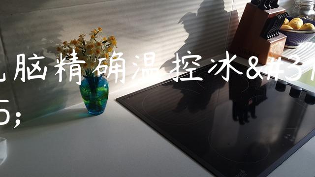 电脑精确温控冰箱