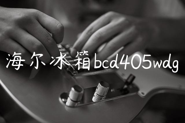 海尔冰箱bcd405wdg