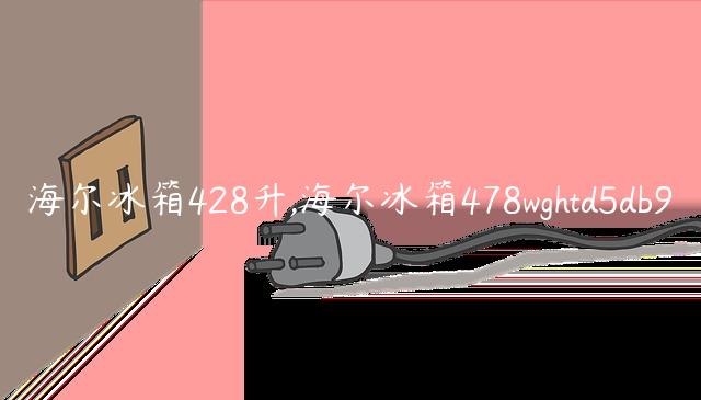 海尔冰箱428升,海尔冰箱478wghtd5db9