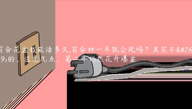 百合花盆栽能活多久,百合种一年就会死吗？其实不是的，注意几点，第二年仍然花开爆盆