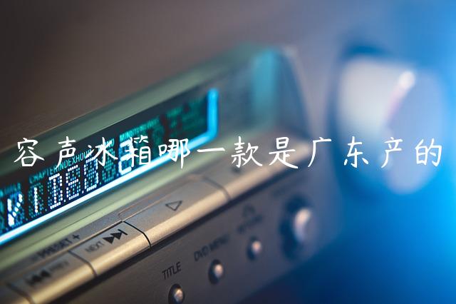 容声冰箱哪一款是广东产的