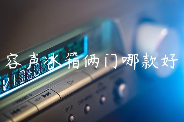 容声冰箱俩门哪款好