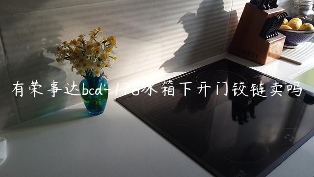 有荣事达bcd-178冰箱下开门铰链卖吗