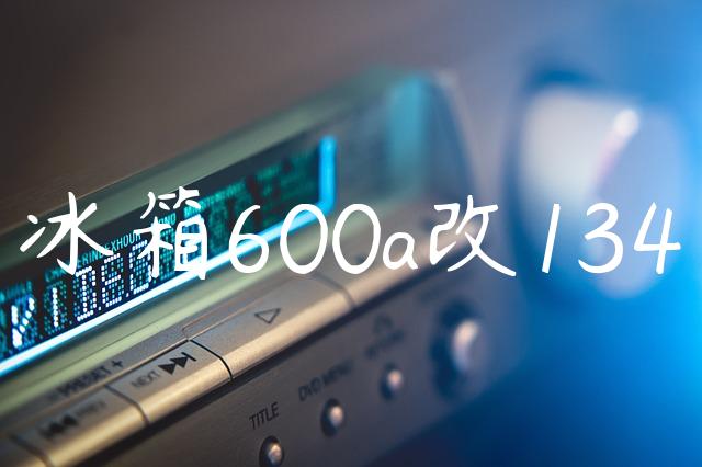 冰箱600a改134