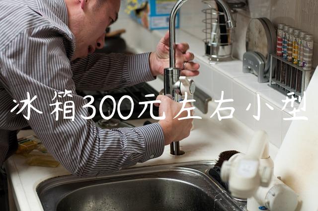 冰箱300元左右小型