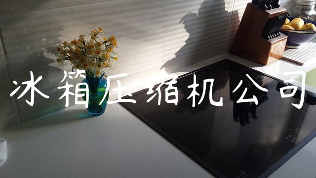 冰箱压缩机公司