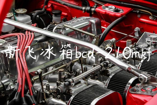 新飞冰箱bcd-210mkf