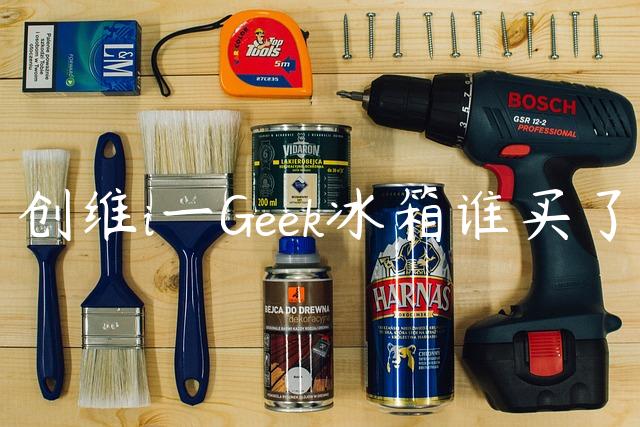 创维i一Geek冰箱谁买了