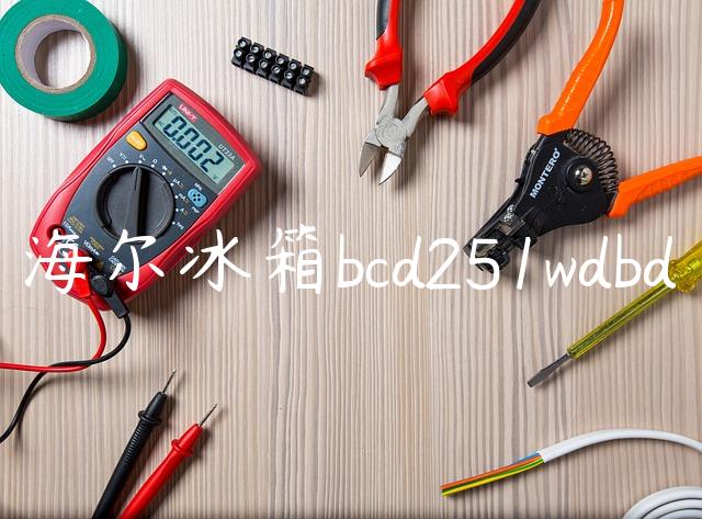 海尔冰箱bcd251wdbd