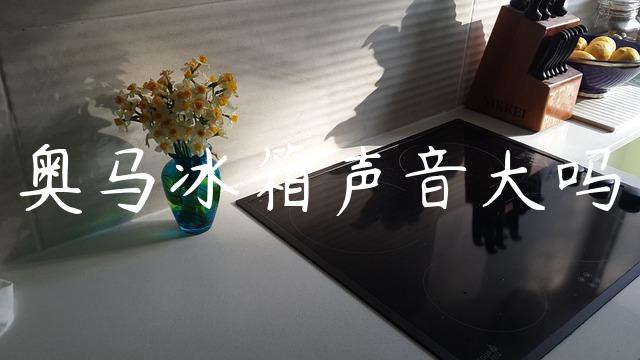 奥马冰箱声音大吗