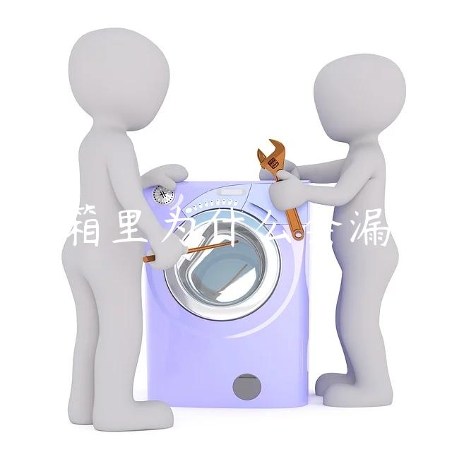 冰箱里为什么会漏水