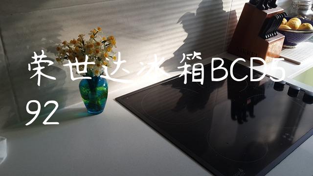 荣世达冰箱BCD592