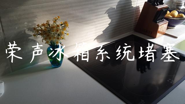 荣声冰箱系统堵塞