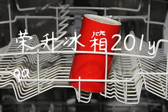 荣升冰箱201yqa