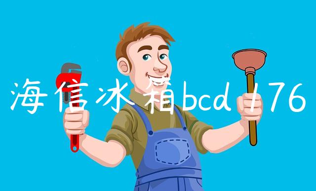 海信冰箱bcd 176